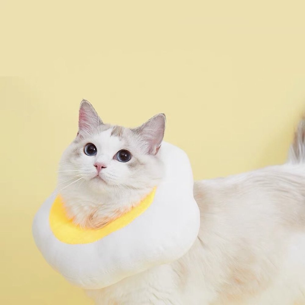 🎄Christmas gift for your cat - Egg E collar